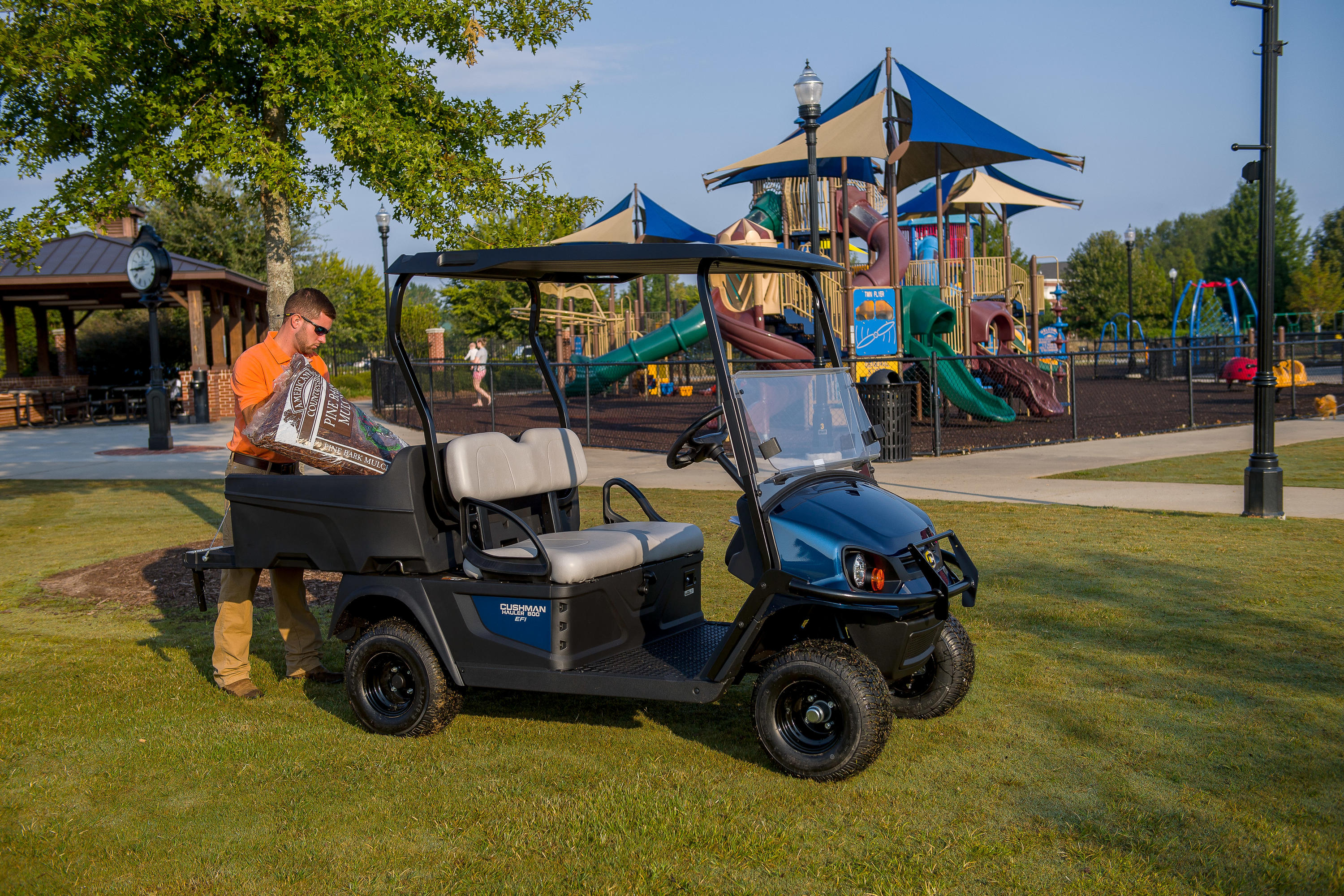 Icon Golf Carts Image